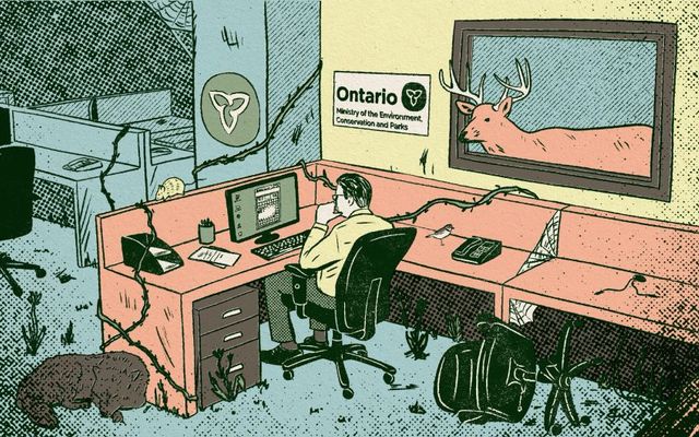Inside Ontario’s endangered species office after Bill 5