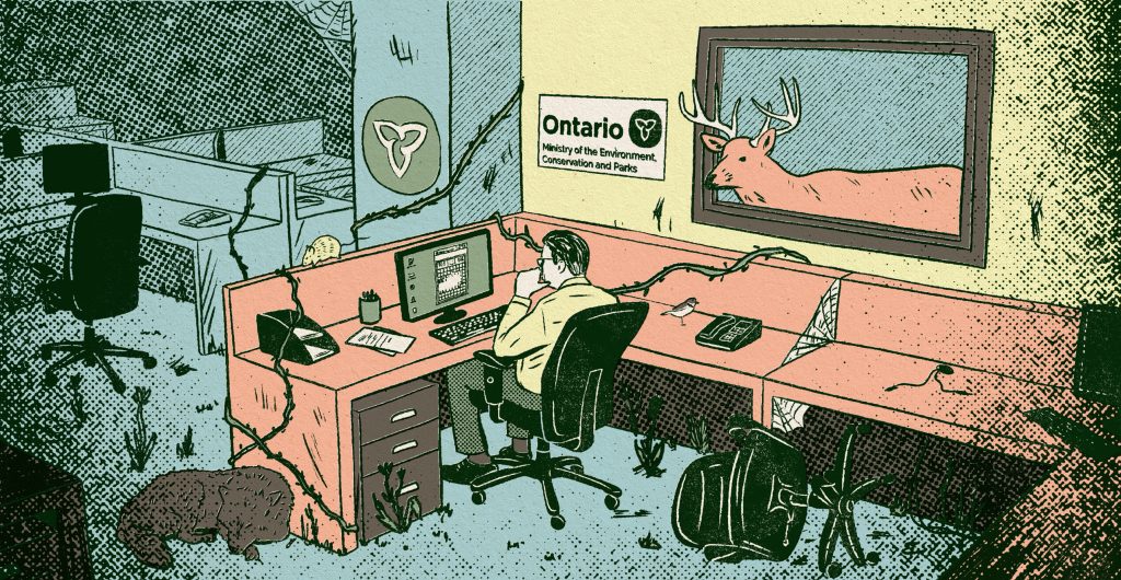 Inside Ontario’s endangered species office after Bill 5
