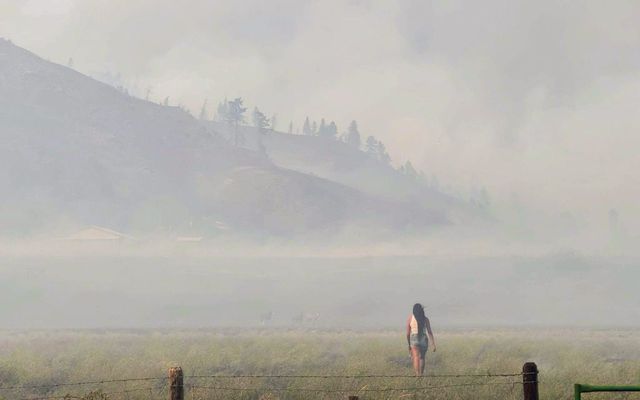 One woman’s race to save her horses from a B.C. wildfire