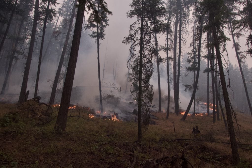 I spent years fighting wildfires. Now, I have PTSD
