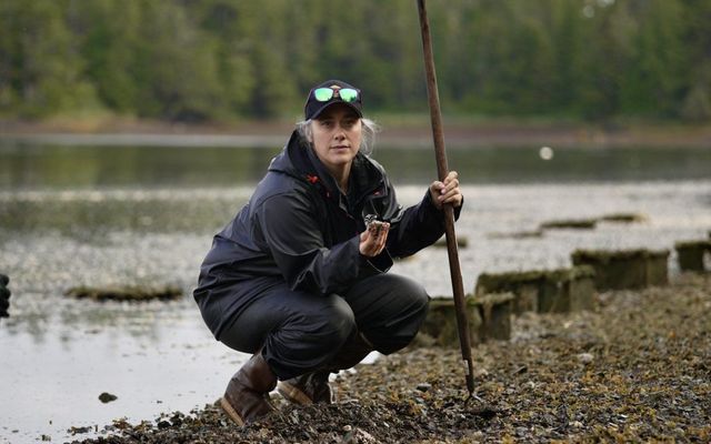 Invasive green crabs threaten Heiltsuk Nation's clam fishery