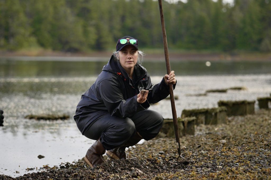 Invasive green crabs threaten Heiltsuk Nation's clam fishery