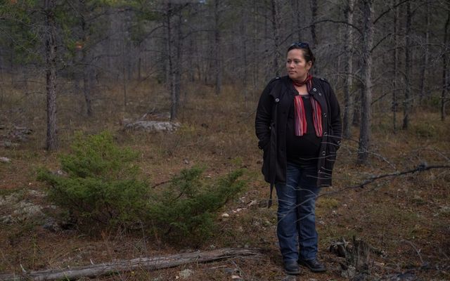 Misipawistik Cree Nation calls for a stop on moose hunting in its traditional territory