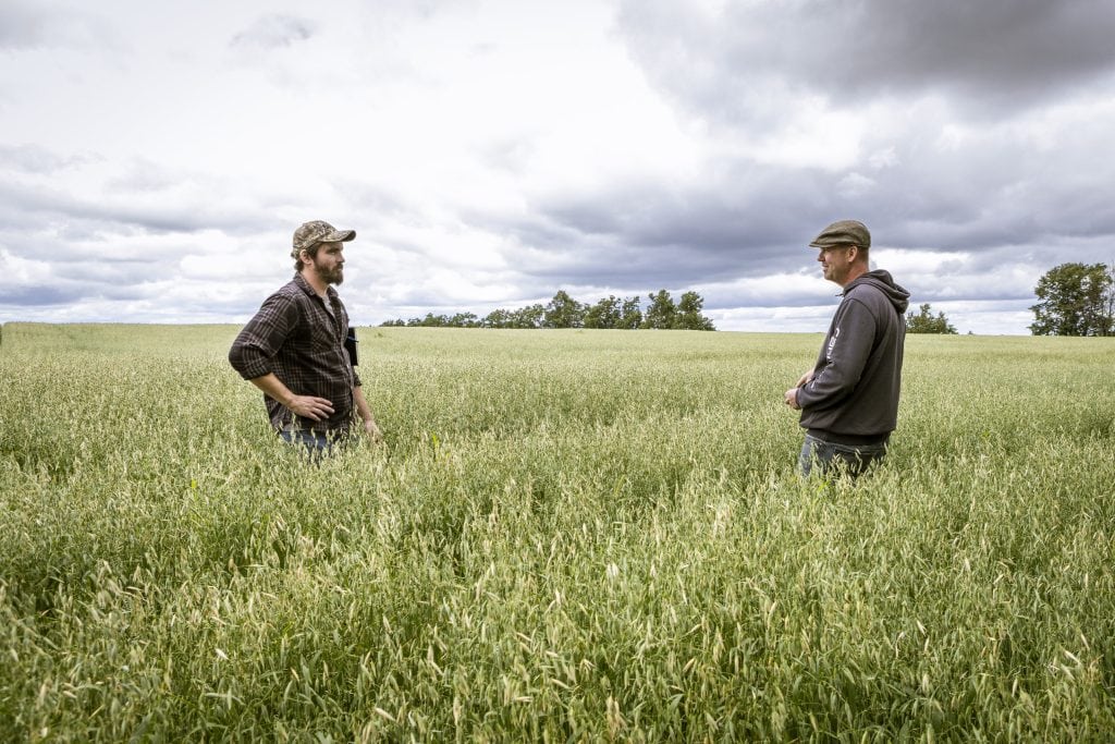 Underwear, turkey eggs: Ontario farmers find ways to help environment