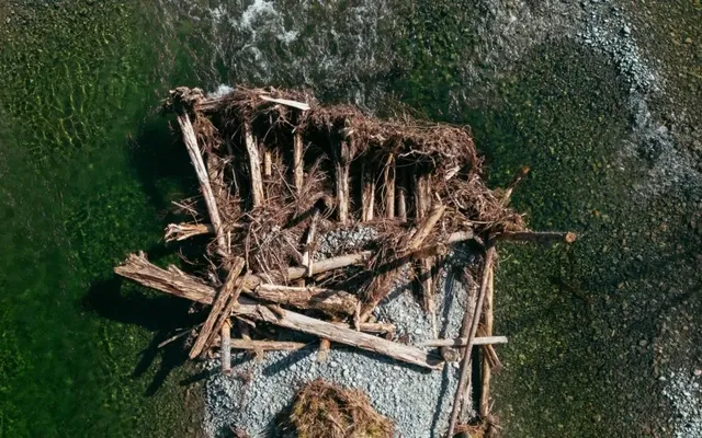 The helicopter-powered quest to save salmon in B.C.