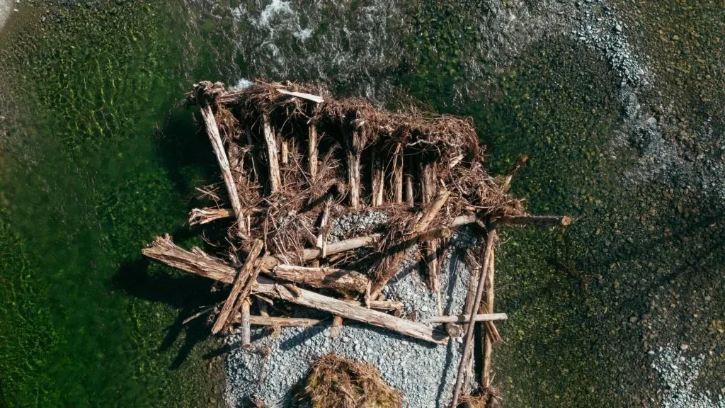 The helicopter-powered quest to save salmon in B.C.