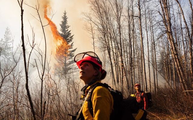 Falling trees and helicopter crashes: Alberta wildfire fighters create their own support system