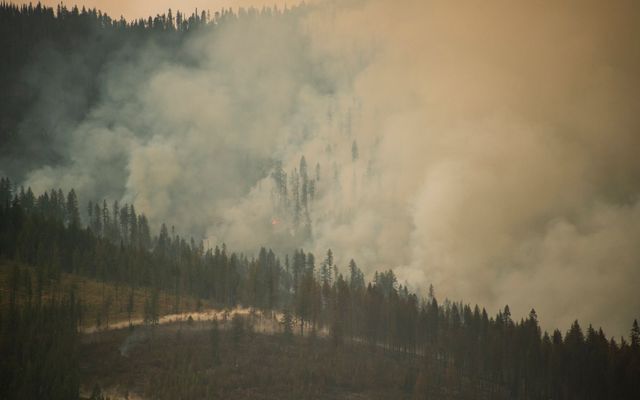 When a forest burns, what does it mean for lakes? Scientists are trying to find out