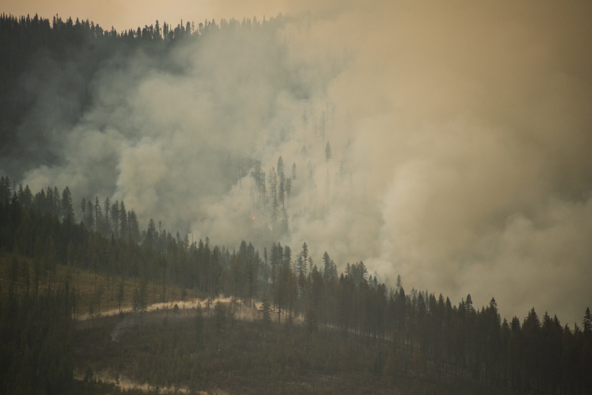 When a forest burns, what does it mean for lakes? Scientists are trying to find out