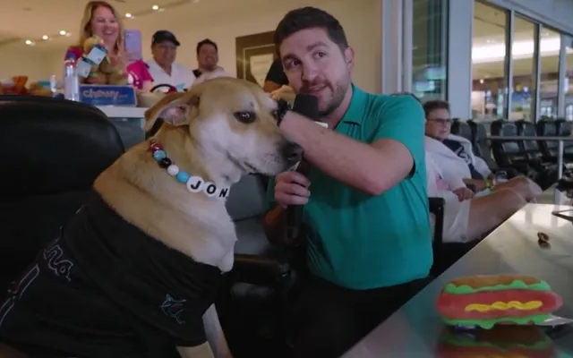 From viral star to VIP: Marlins treat Jonah the dog to dream day at ballpark