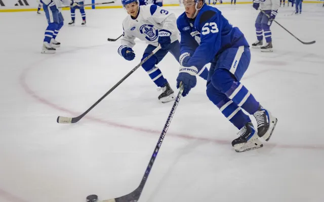 How Nick Blankenburg has skated his way into Maple Leafs' plans