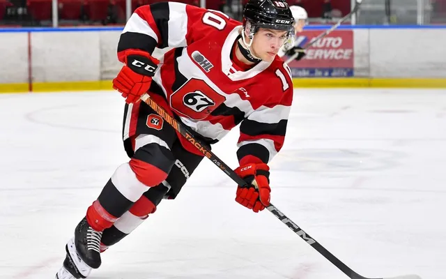Goalie Patriks Plumins shines as Maple Leafs prospects beat Jets