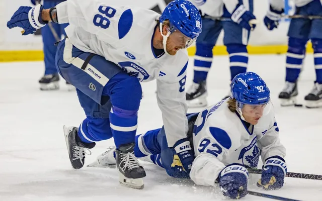 Why the Maple Leafs already have put their best eggs in one basket at training camp