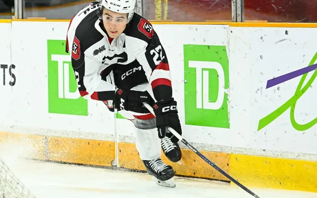 'Zero chance of recovery' for Stoney Creek's Matthew Mayich, lawyer says