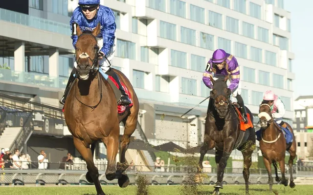 Arabian Crown wins $750,000 Canadian International at Woodbine Racetrack
