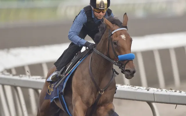 Popular trainer Harold Ladouceur chases King’s Plate glory with Imyourmedicineman