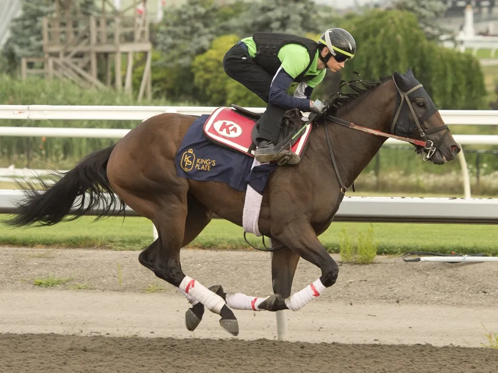 Defending King’s Plate winner Pietro Moran chasing another dream ride on Dixie Law