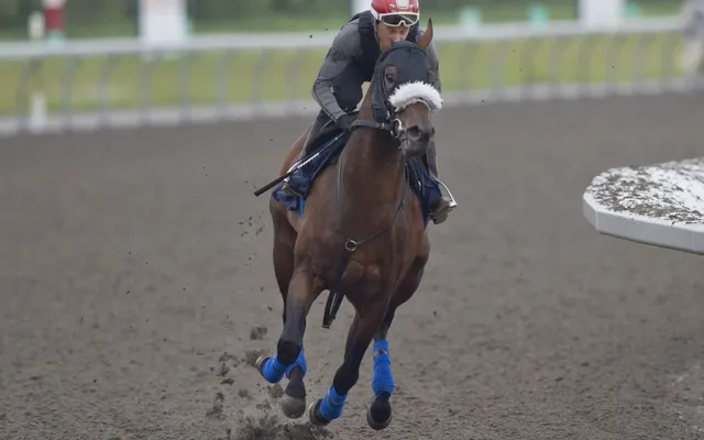 Meet Brachetto, the 5-1 contender carrying prairie pride into the King's Plate