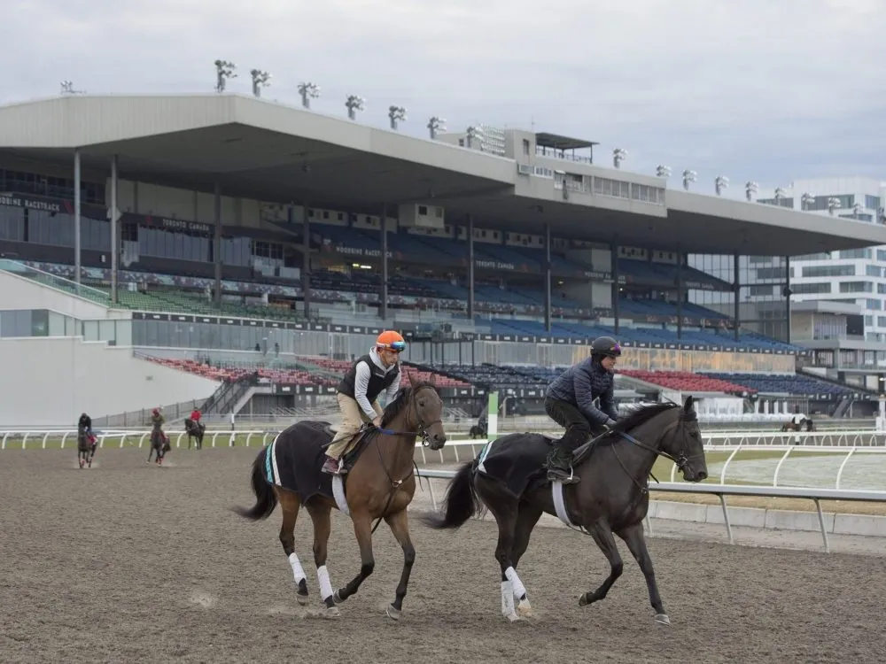 Military Time a favourite to win Prince of Wales Stakes; Best Chip takes Canadian Pacing Derby