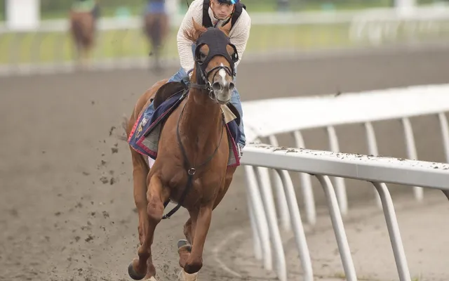 Military Time marches to Prince of Wales Stakes win