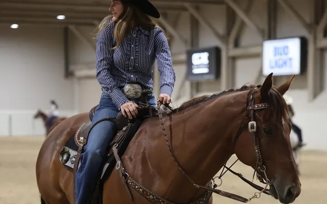 Teenage girl accused of stabbing three horses at Las Vegas racing event: 'KIND OF SCARY'