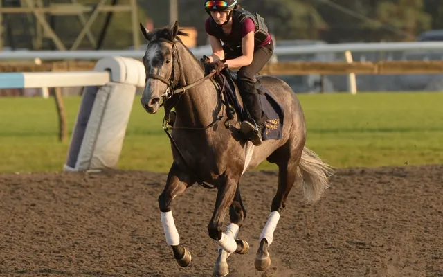 Why Luster is the horse to watch in Saturday’s King’s Plate at Woodbine