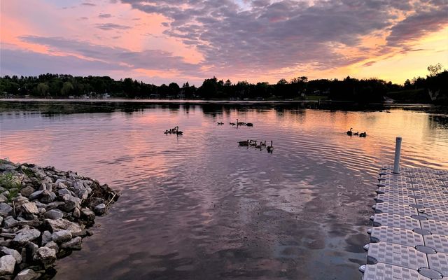 $10M Parks Deal Protects Nearly 19,400 Hectares Across Ontario