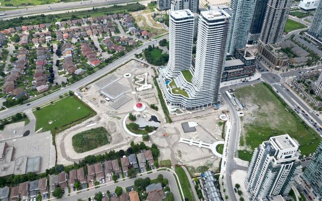 Rebuilding Meadows