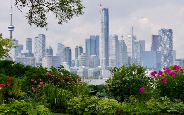 UrbanToronto Forum Reaches Milestone 50,000 Members!