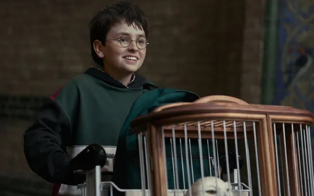 HBO’s ‘Harry Potter’ Cinematographer Says It’s ‘Brutal’ Working Around the Young Stars’ Strict Shooting Schedules: ‘Ha…