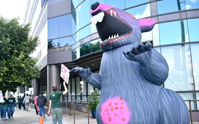 WGA West Accuses Its Staffers of Violence and Intimidation as Strike Hits 10 Weeks