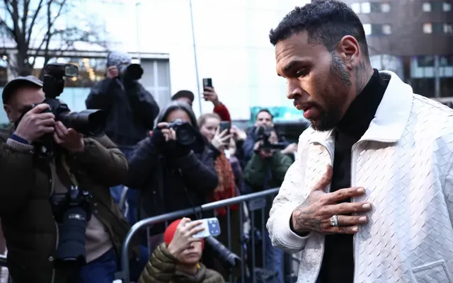 Jury Says Chris Brown Owes Housekeeper $13 Million for Disfigurement in Dog Mauling Attack