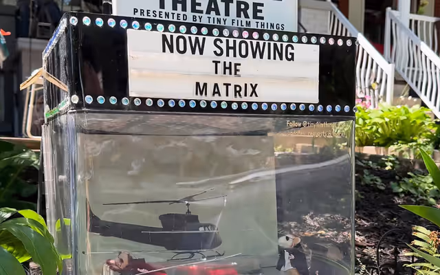 Toronto's weirdest Google Maps attractions include mouse theatre and random cat