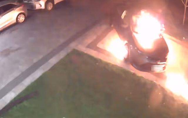 Video shows Toronto arsonist try to juggle flaming gas can while torching cars