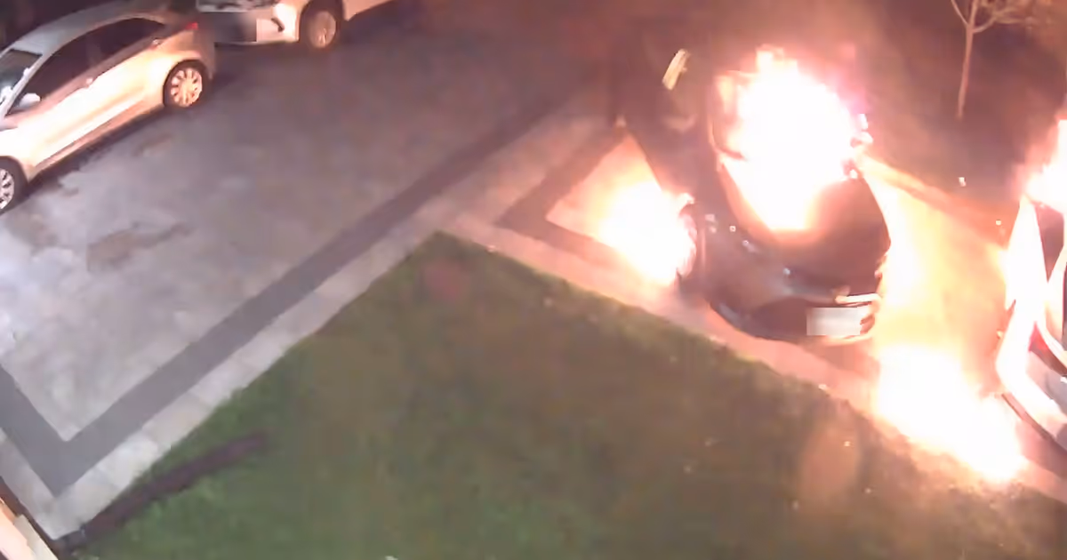 Video shows Toronto arsonist try to juggle flaming gas can while torching cars