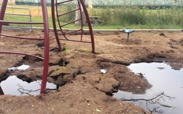 Toronto park called out for 'unacceptable' and 'unusable' condition