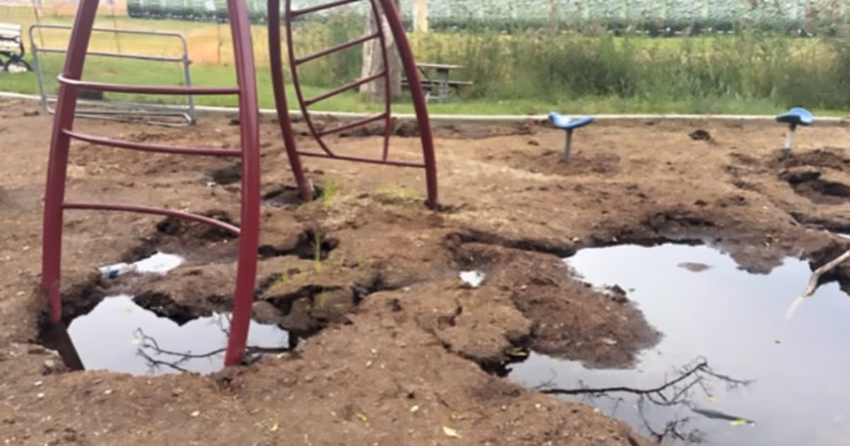 Toronto park called out for 'unacceptable' and 'unusable' condition