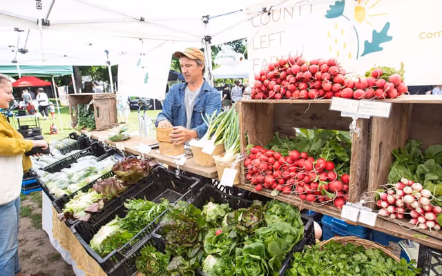 9 farmers markets in Toronto you need to check out this summer