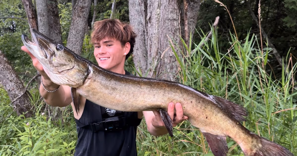 Someone is documenting and eating every fish he catches in Lake Ontario