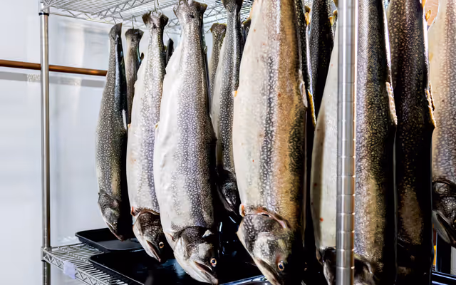 Toronto fish store that supplies some of the city's top restaurants is closing