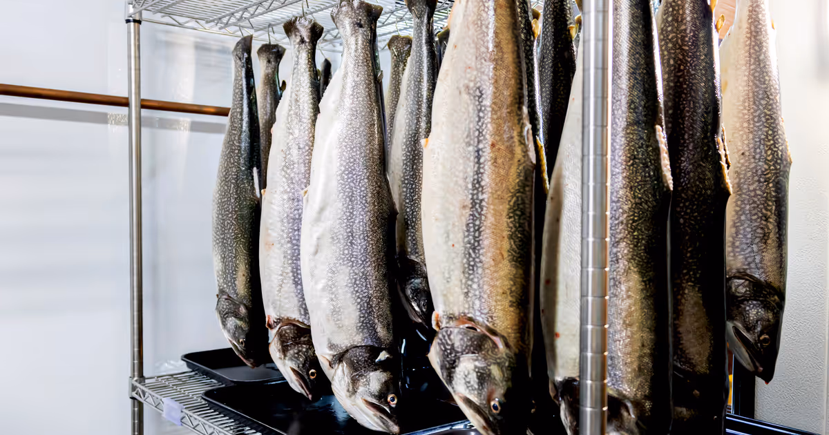 Toronto fish store that supplies some of the city's top restaurants is closing