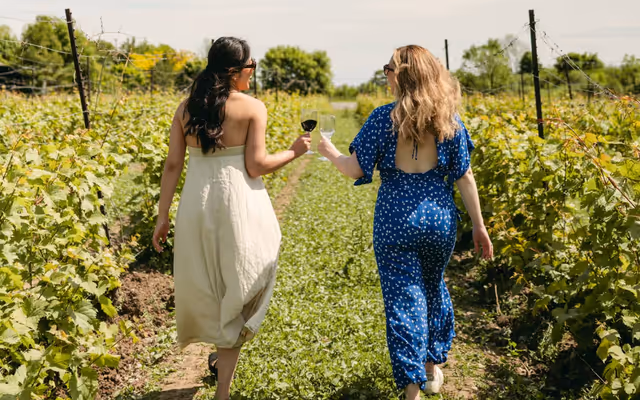Sandbanks Winery is celebrating 25 years by giving away epic PEC getaways