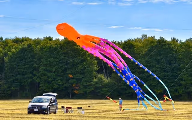 Massive kite festival set to take place in Ontario this coming weekend