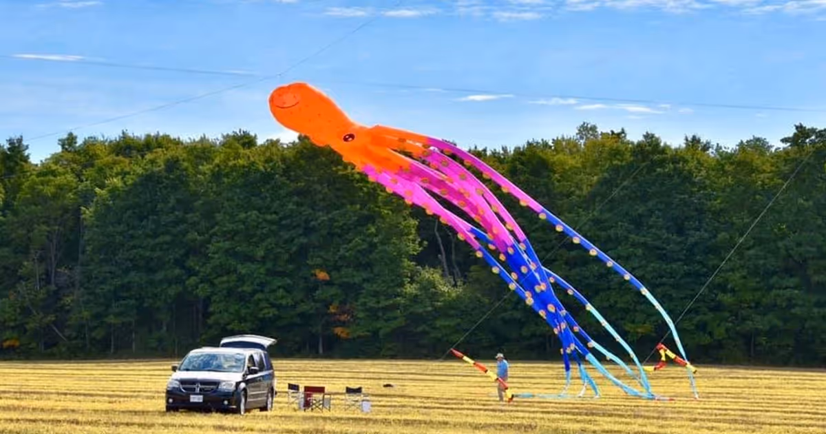 Massive kite festival set to take place in Ontario this coming weekend