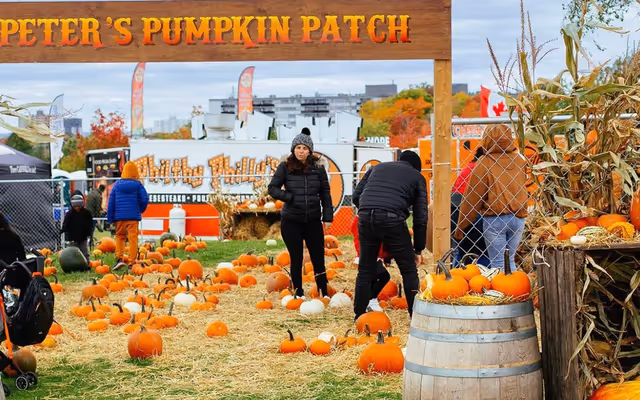 5 upcoming Ontario fall festivals worth getting out of the city for