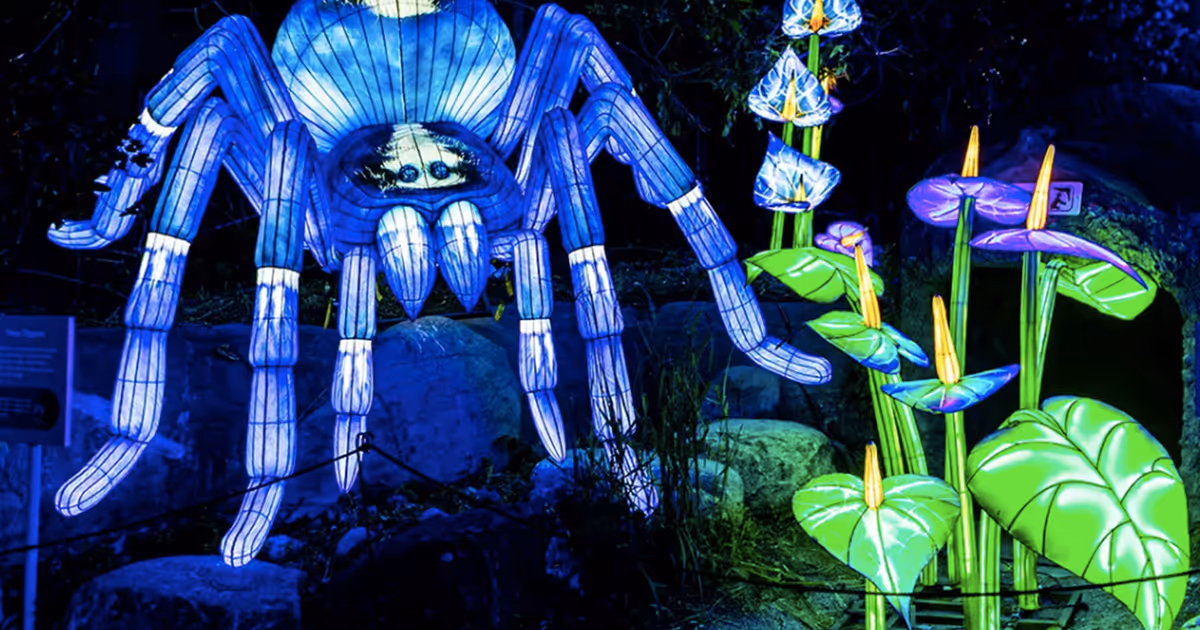 Psychedelic trail of glowing lanterns transforming major Toronto destination