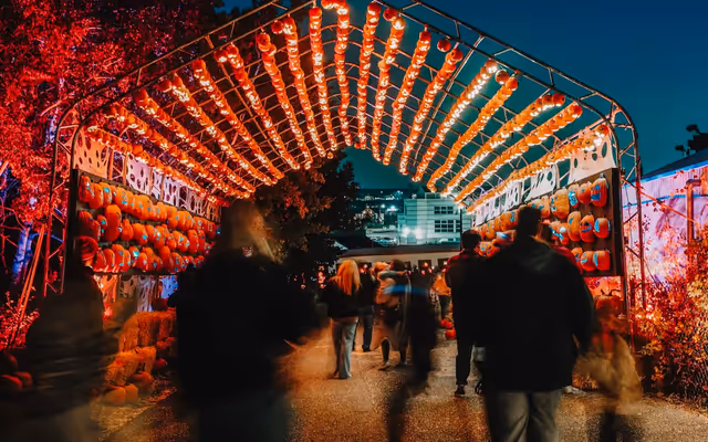 Tunnel with thousands of glowing pumpkins coming to Ontario this fall
