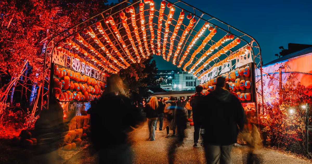 Tunnel with thousands of glowing pumpkins coming to Ontario this fall