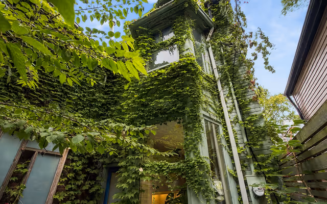 This Toronto home feels like a secret treehouse in the middle of downtown