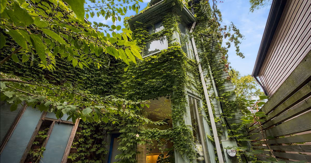 This Toronto home feels like a secret treehouse in the middle of downtown